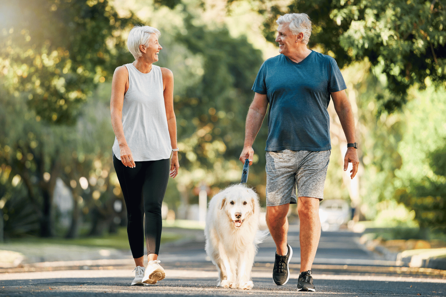 Older couple walking together on a sunny street, smiling at each other, with a fluffy white dog on a leash between them. They are dressed in casual activewear, and the background is filled with green trees.