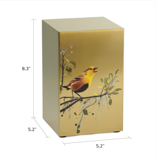 Life Canvas Birds Bronze urn displayed alone, with dimensions noted for size reference.