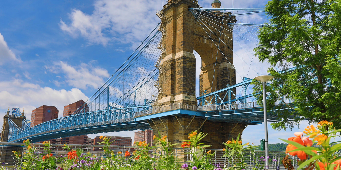 View of the John A. Roebling Suspension Bridge in Covington, Kentucky, with its iconic blue steel cables and sandstone towers. The bridge stretches across the Ohio River, with colorful flowers in the foreground and modern red-brick buildings in the background under a partly cloudy sky.