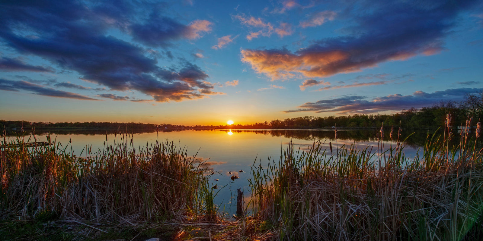 A tranquil lake scene at sunset in Indiana. The sun is low on the horizon, casting golden reflections across the still water. Tall grasses and cattails frame the foreground, while trees line the far shore. The sky is filled with dramatic clouds tinged with shades of orange, pink, and blue.