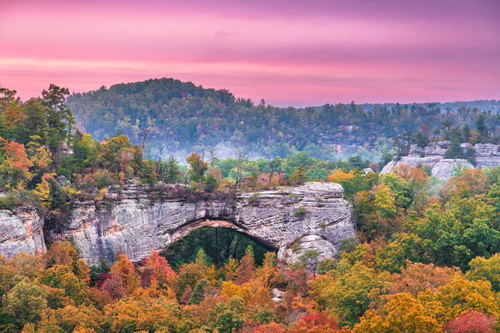 Monticello_KY_Cremation_Services