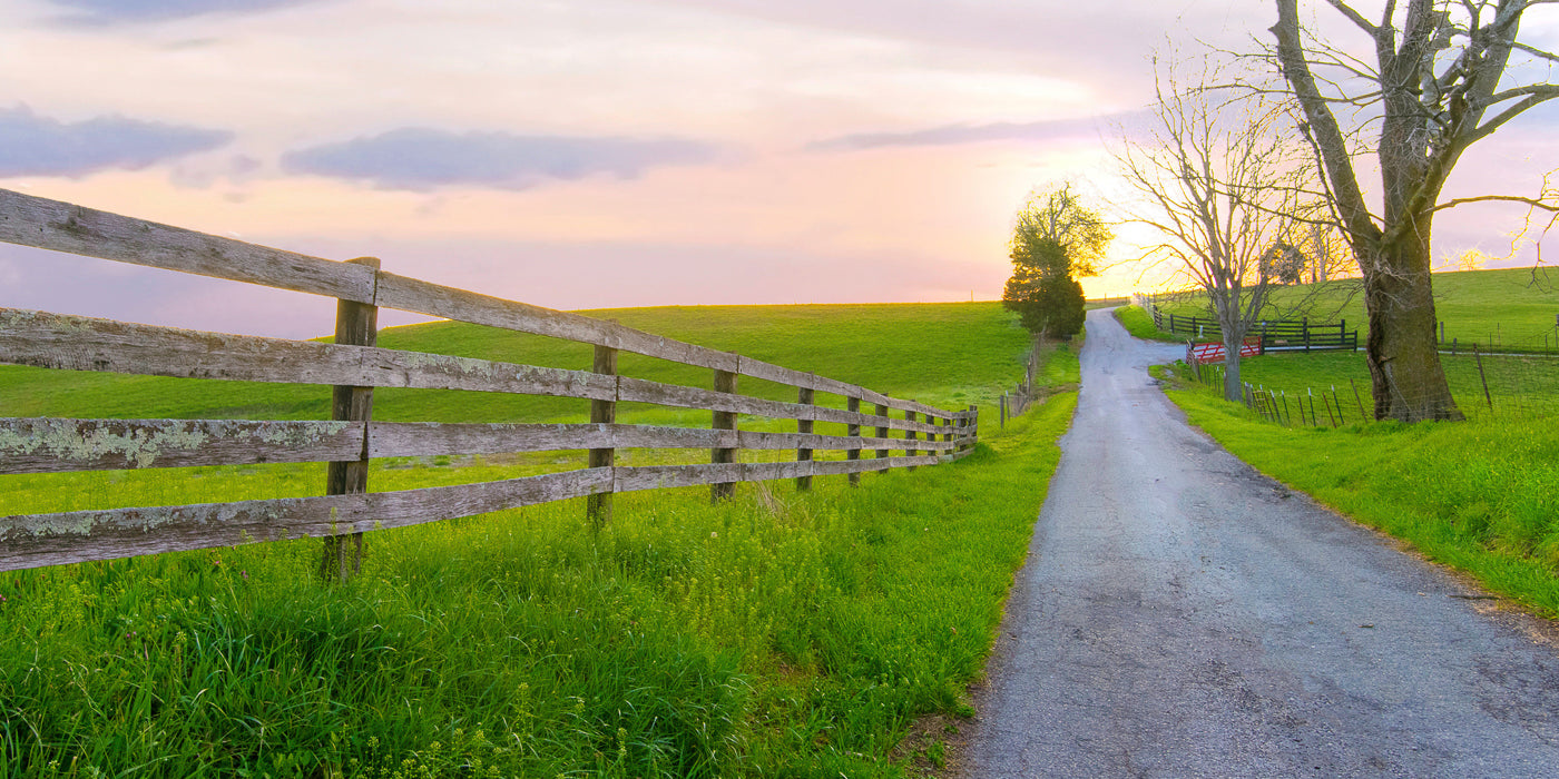A quiet country road in Richmond, Kentucky, winds uphill through green pastures bordered by rustic wooden fences. The scene is bathed in the soft light of sunset, with pink and orange hues in the sky. Leafless trees and lush grass line the road, creating a peaceful rural atmosphere.