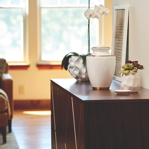 The Trinity Pearl Memorial Urn, available at Magnolia Cremations, displayed on a dark wood cabinet in a well-lit room. The urn features a smooth white high-gloss finish with elegant gold accents. It is surrounded by decorative elements, including a framed print, an orchid plant, and a small vase with succulents, creating a serene and tasteful memorial setting.