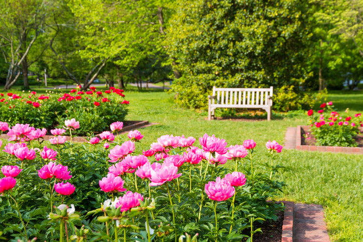 Westwood_KY_Cremation_Services