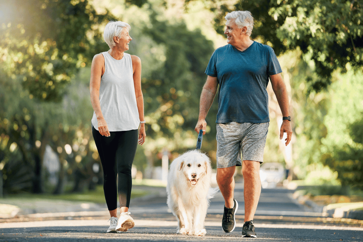 Older couple walking together on a sunny street, smiling at each other, with a fluffy white dog on a leash between them. They are dressed in casual activewear, and the background is filled with green trees.