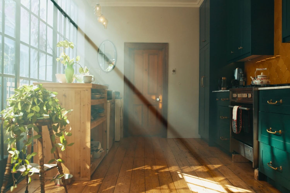 Sunlight streaming through large windows into a quiet kitchen with warm wood floors and green cabinets, evoking the stillness of a home after unexpected loss